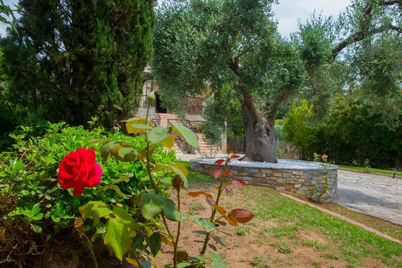 Villa Anna Nea Skioni Bagian luar foto