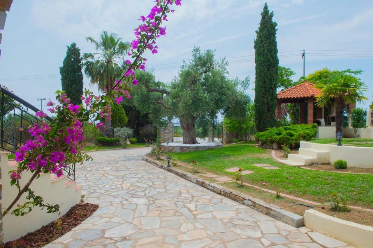 Villa Anna Nea Skioni Bagian luar foto